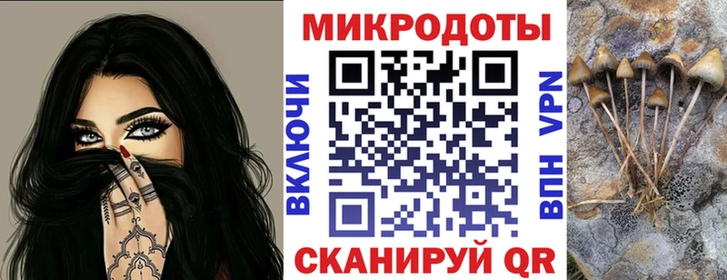 цена   Тавда  Псилоцибиновые грибы мухоморы 